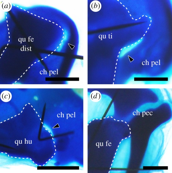 Figure 4.