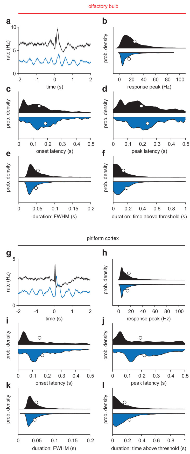 Figure 1—figure supplement 3.