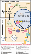 Fig. 2.