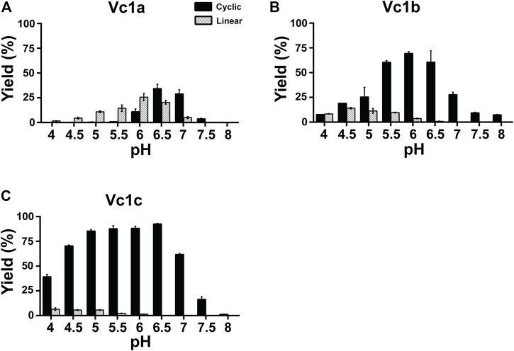 FIGURE 4