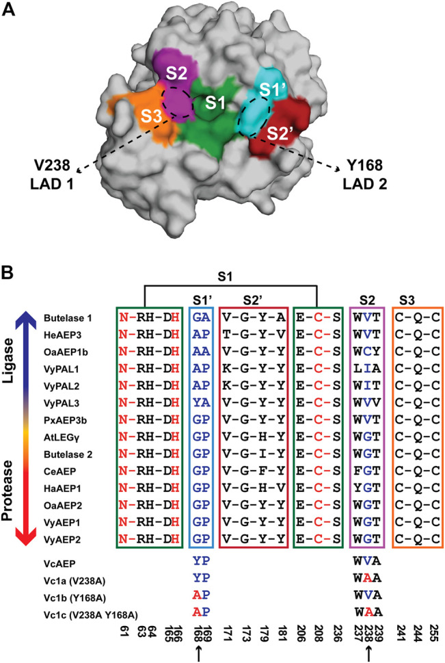 FIGURE 3