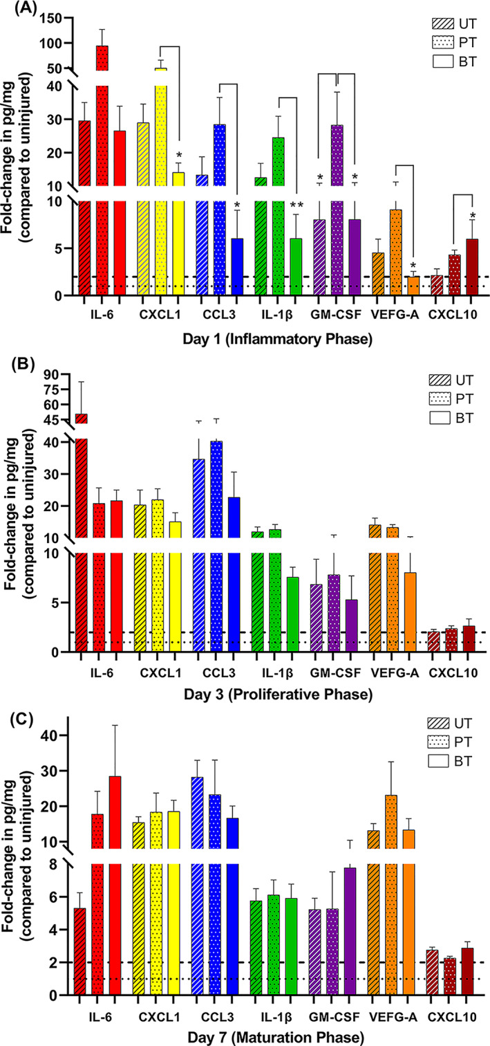 FIGURE 6