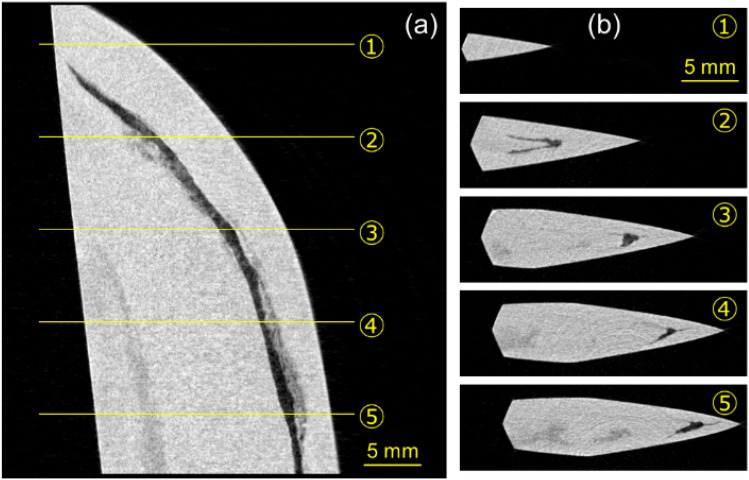 Fig. 7