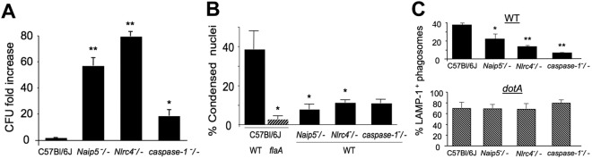 FIG 1 