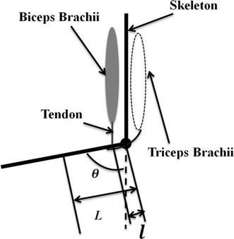 Fig. 2