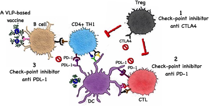 Figure 4