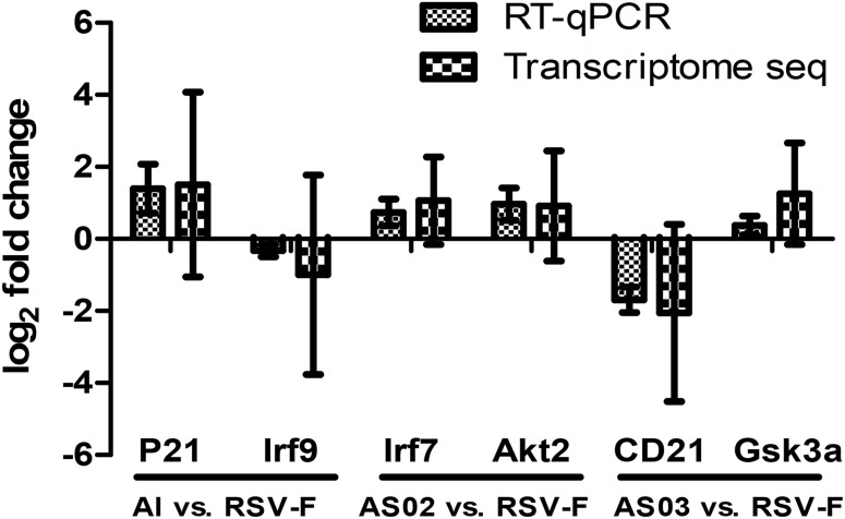 FIGURE 11