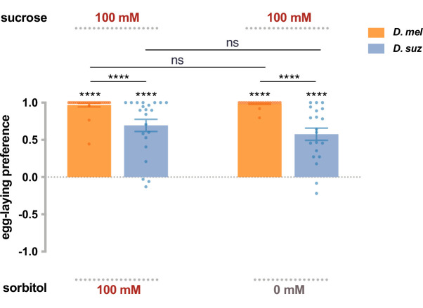 Figure 2—figure supplement 1.