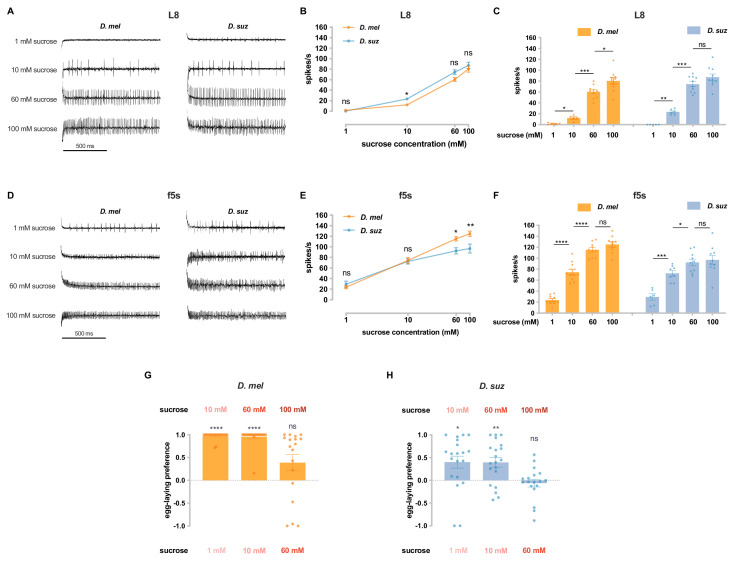 Figure 3—figure supplement 1.