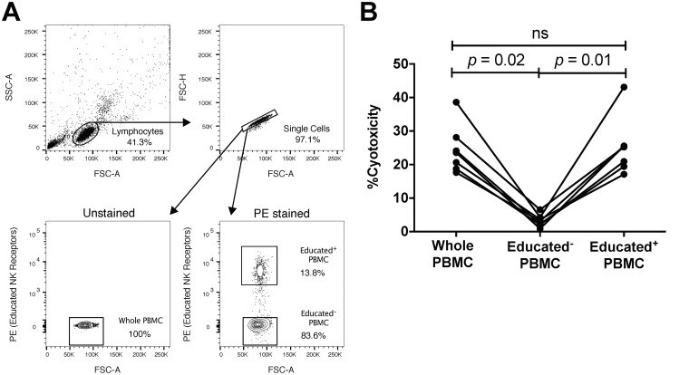 FIG 6