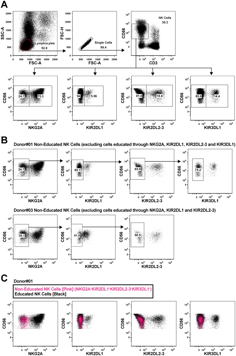 FIG 2