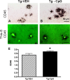 Figure 9.