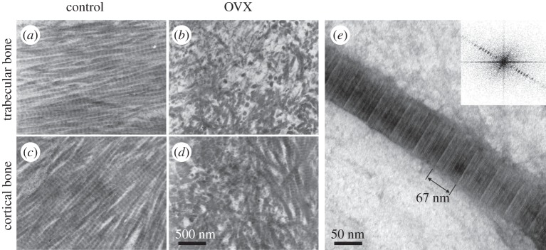 Figure 13.