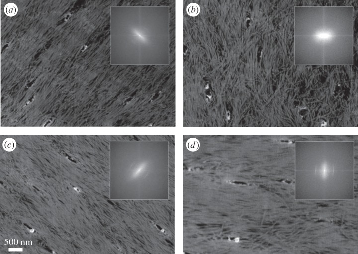 Figure 14.