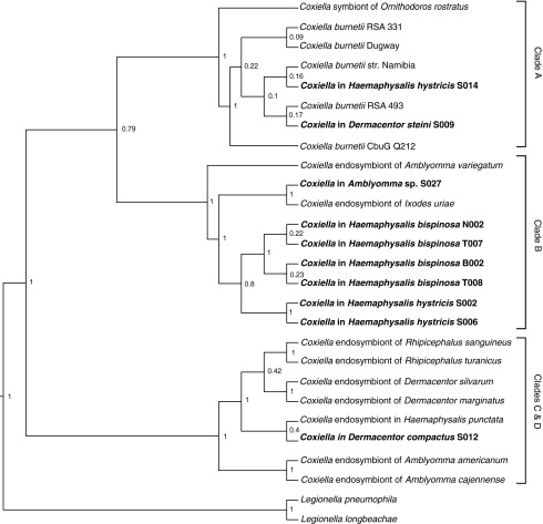 FIG. 2.