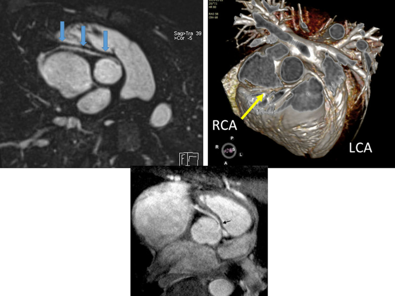 Figure 21.