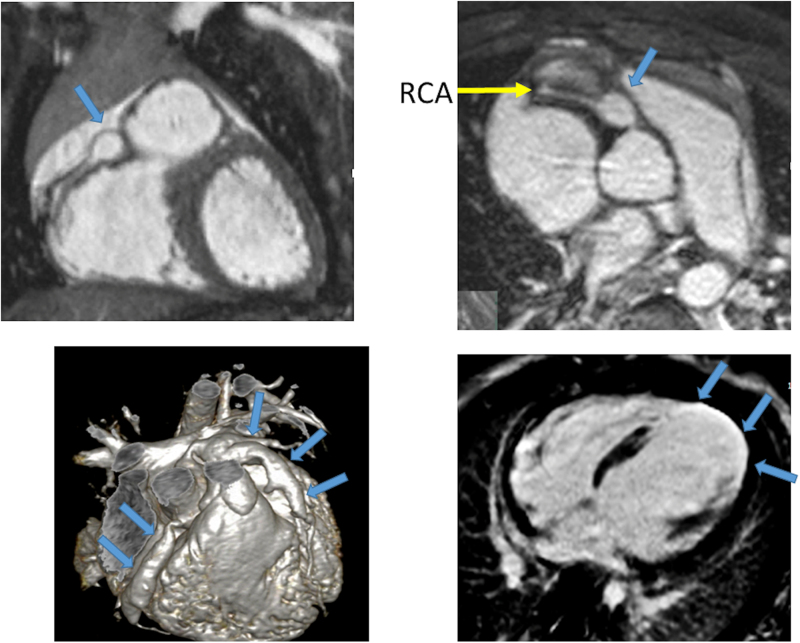 Figure 24.