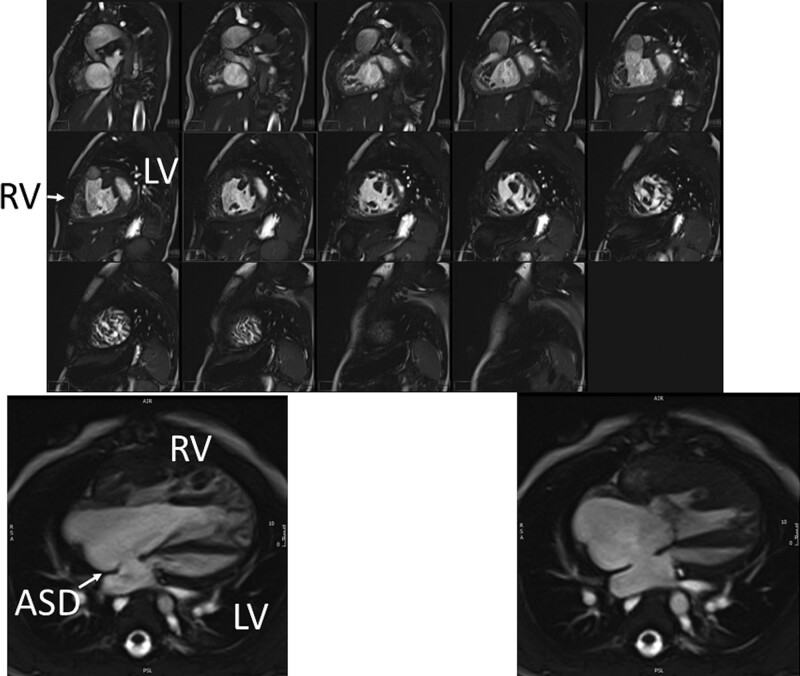 Figure 4.