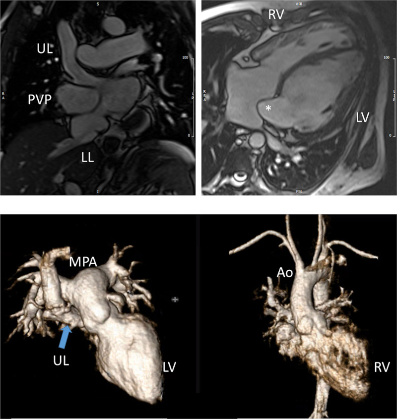 Figure 40.