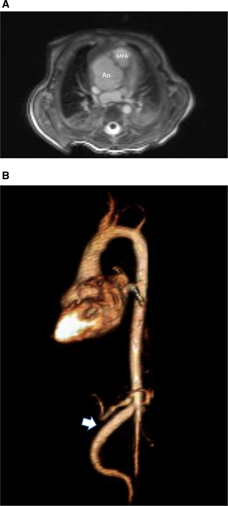 Figure 32.