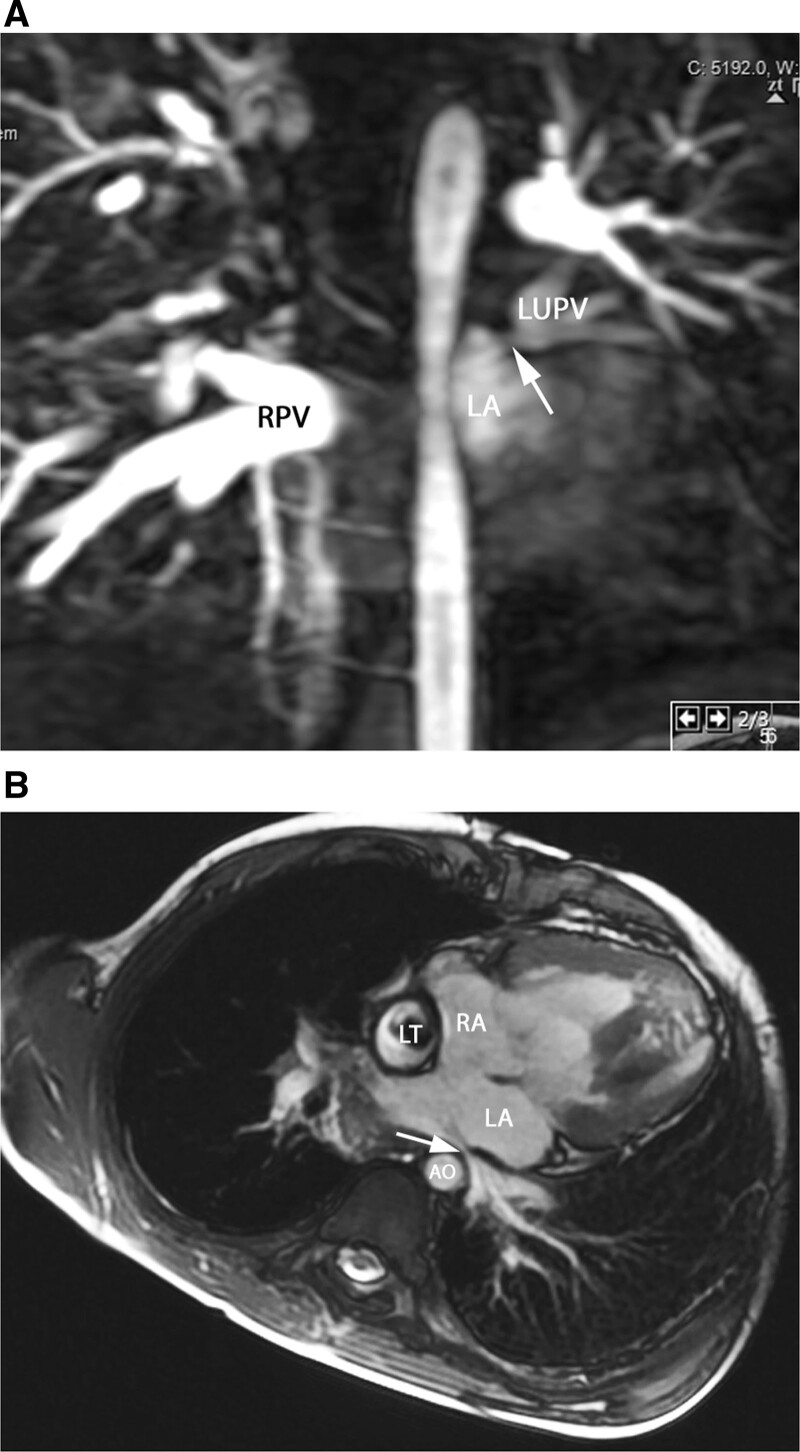 Figure 19.