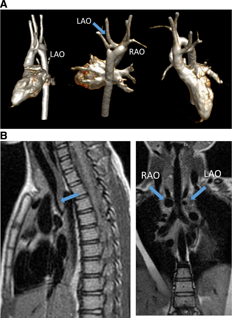 Figure 35.