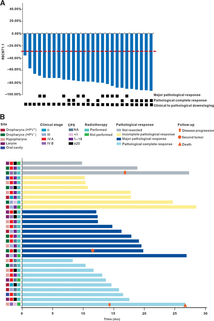Figure 2. Tumor response. A, Treatment response of individual patients who underwent surgery (n = 27). The red horizontal line represents 30% target lesion reduction. B, Swimming plot of disease-free survival for individual patients (n = 30). HPV, human papilloma virus; CPS, combined positive score; NA, not available.