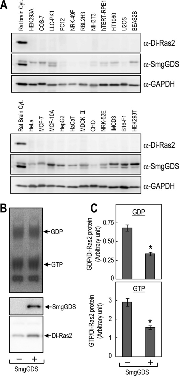 FIGURE 7.