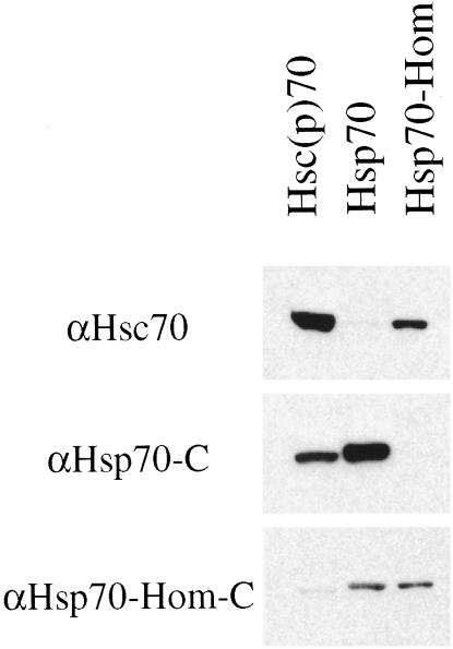 Fig 3.