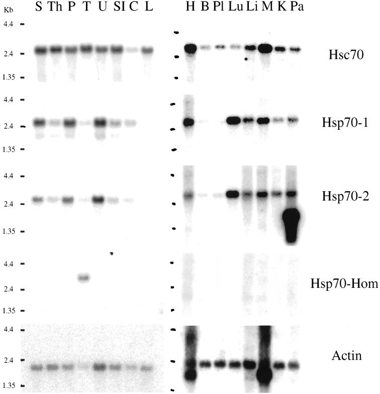 Fig 6.