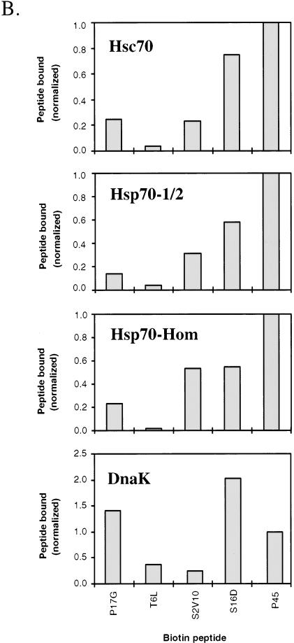 Fig 1.