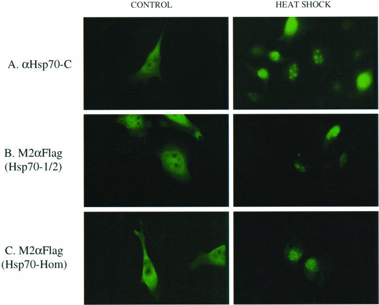 Fig 5.