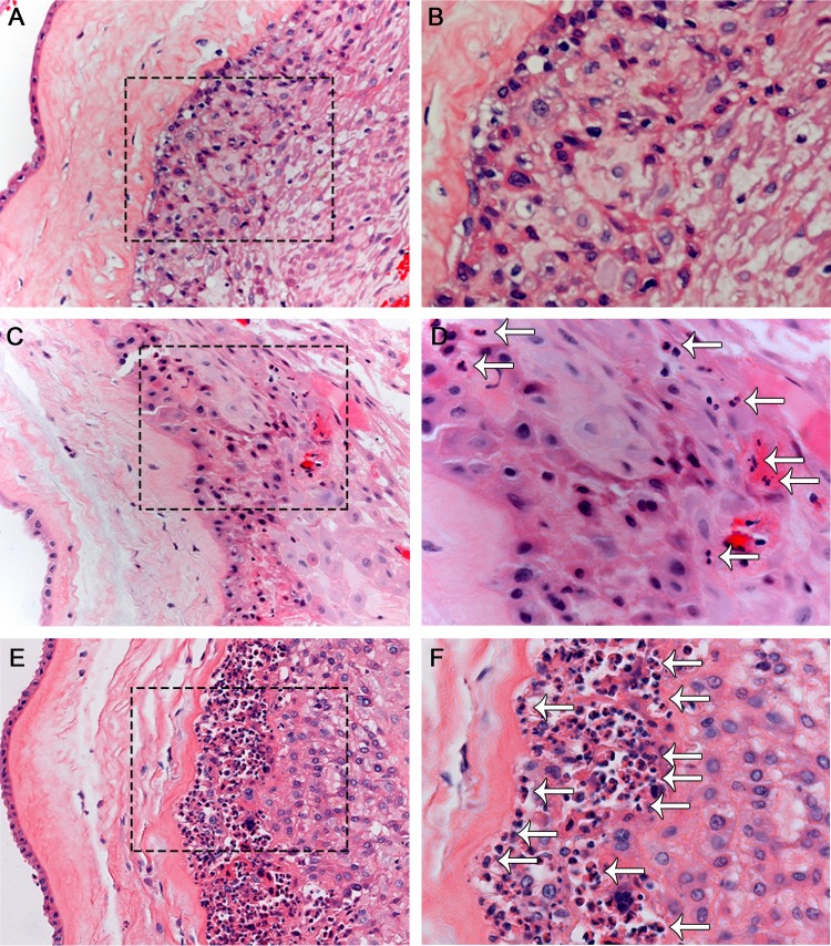 FIG 2