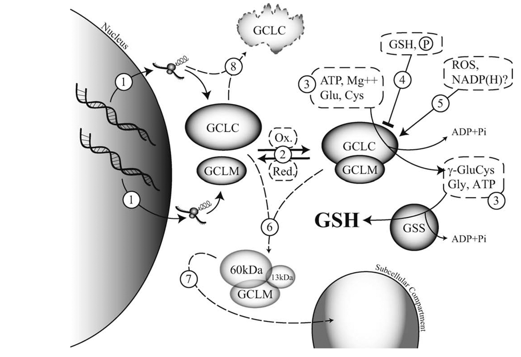 Fig. 2