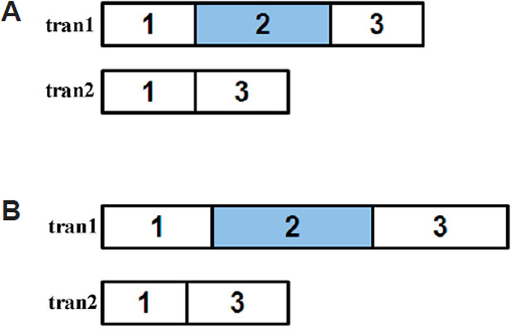 Fig. 12