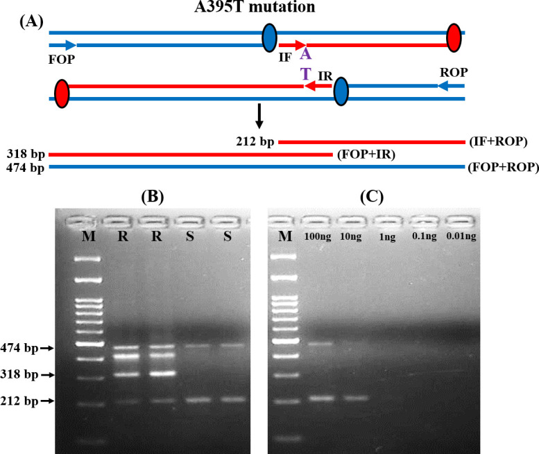 Fig 1