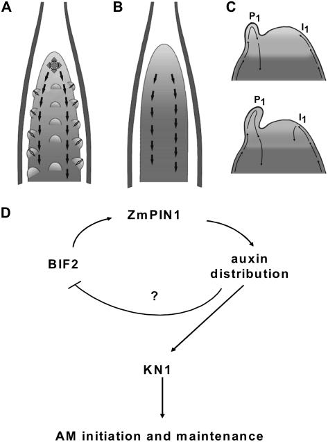 Figure 9.