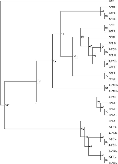 Figure 2.