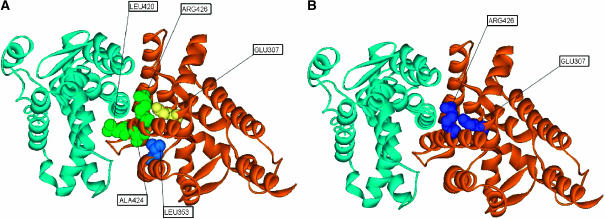 Figure 8