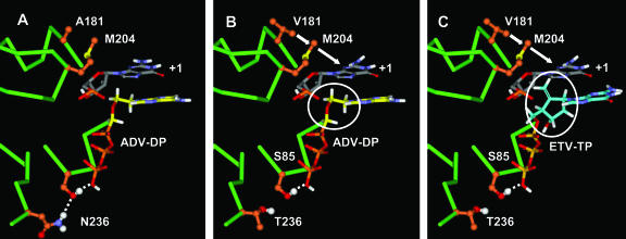 FIG. 7.