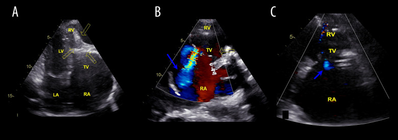 Figure 1.