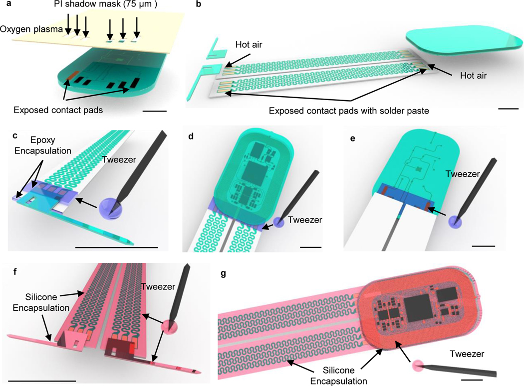 Figure 5: