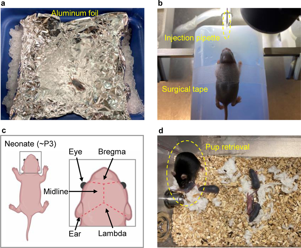 Figure 6: