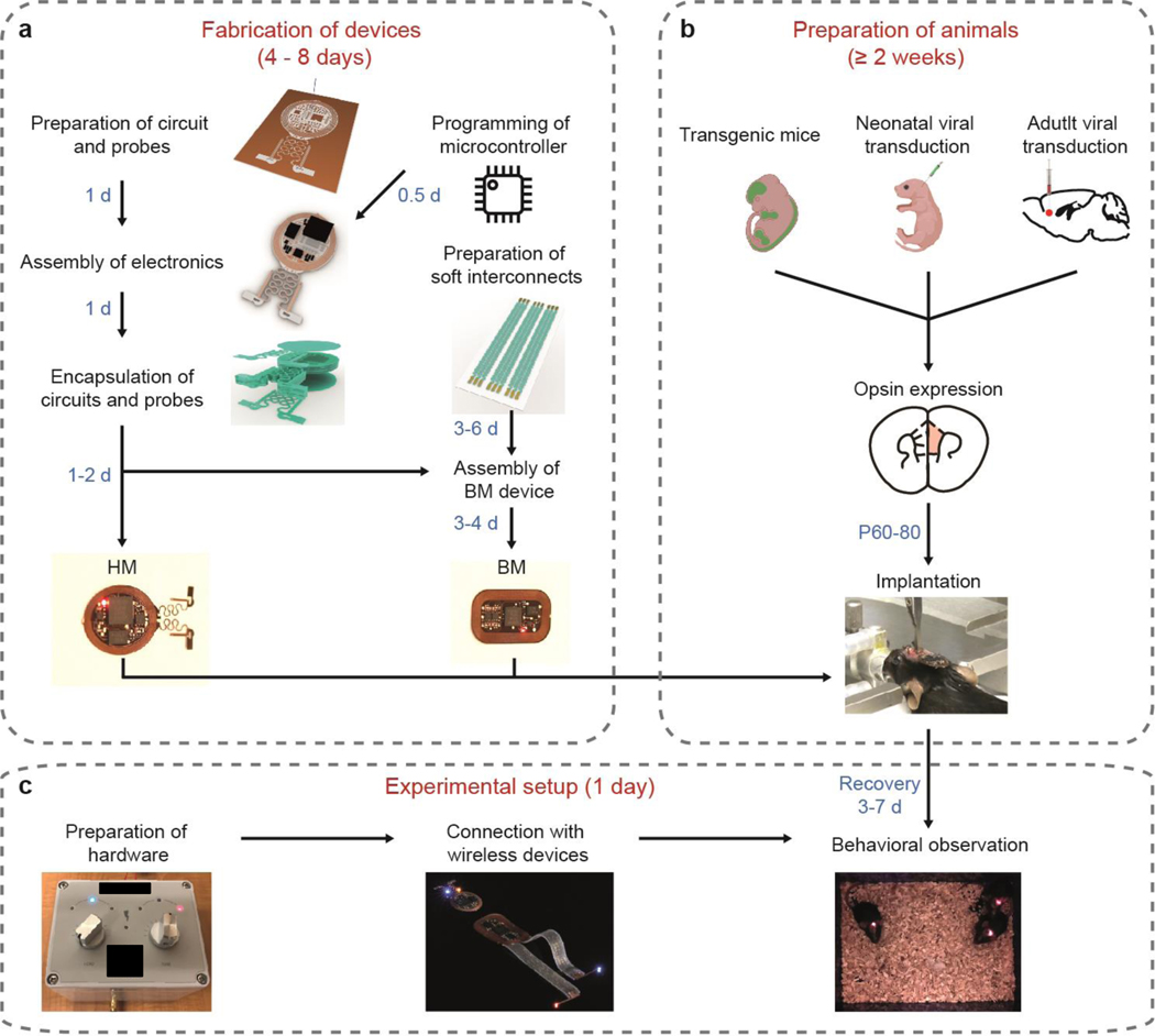 Figure 1: