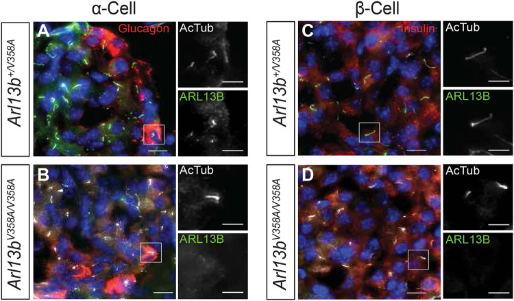 Figure 4: