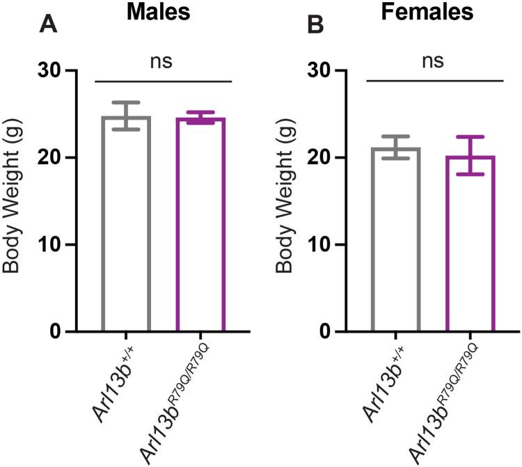 Figure 6: