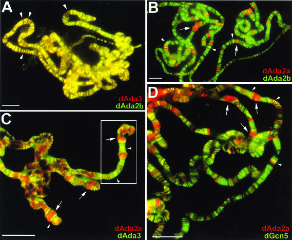 FIG. 7.