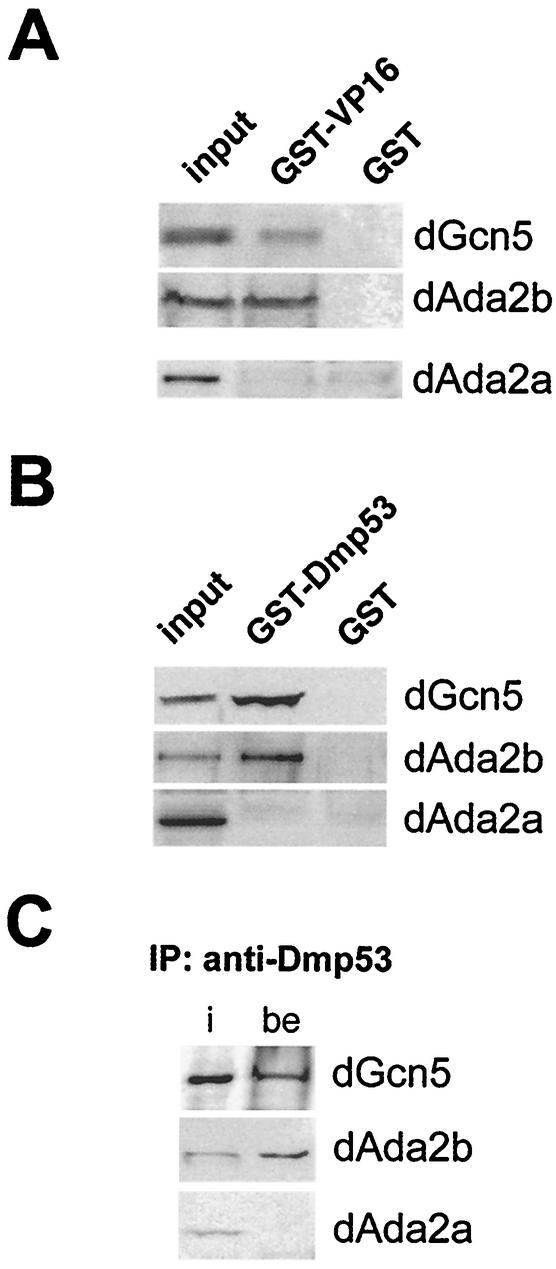 FIG. 5.