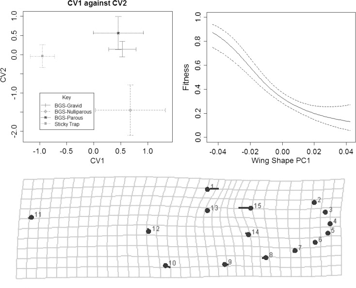 Figure 7.