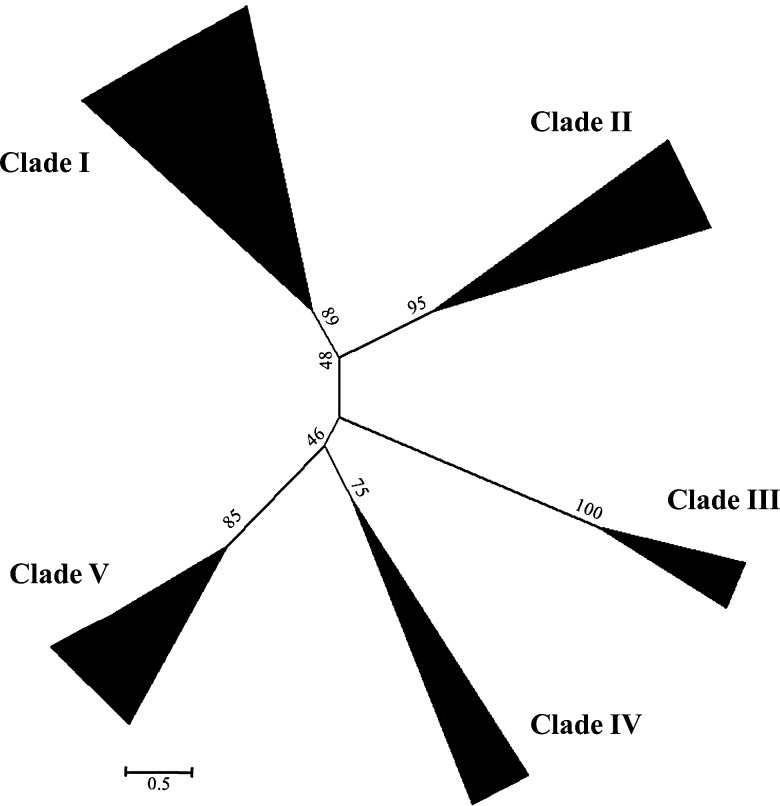 Figure 1.